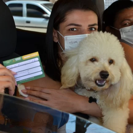 Mulher segurando cão branco da raça poodle e exibindo cartão de vacina