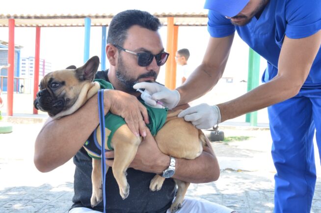 Cachorro nos braços de um homem recebendo a vacina antirrábica