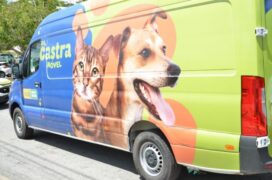 Carro do Castramóvel com desenho de cão e gato.